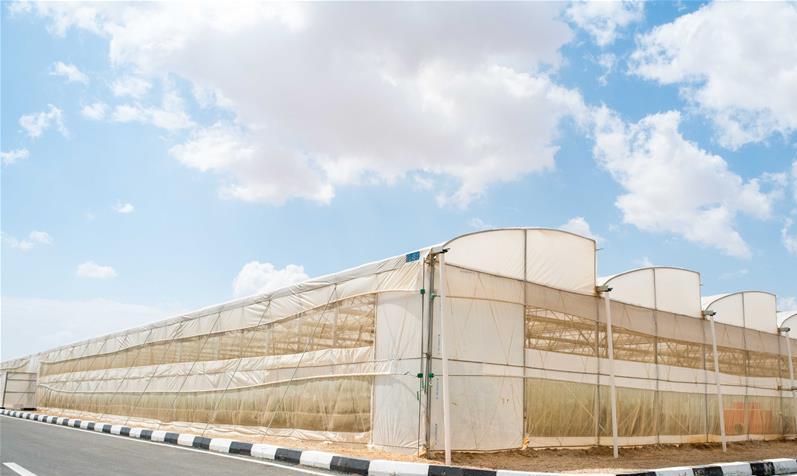 XENA_8KC(XYU@5P58PYGUBI.png XENA_8KC(XYU@5P58PYGUBI.png